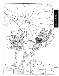 工笔荷花白描画谱图片