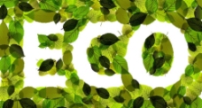 绿叶节能环保生态标志图片