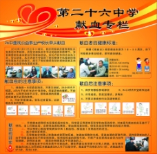 献血专栏 学校展板图片