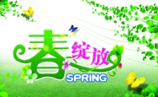 spring春SPRING绽放图片