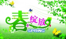 春（spring）绽放图片