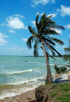 热带海边风光图片