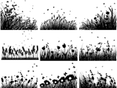 小麦黑白花草矢量素材图片