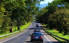 哥斯达黎加的高速公路两侧被绿树掩映图片