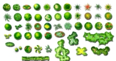 植物 图例 PS 素材图片
