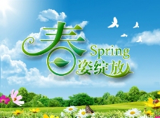 大自然春姿绽放春天风景图片
