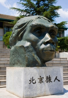 北京猿人周口店图片
