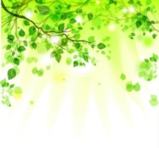 春季主题树枝绿叶背景图片