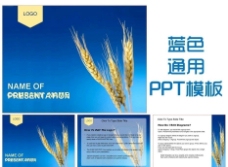 蓝色科技背景蓝色麦穗农作物PPT模板