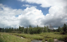 小溪 白桦松林 气势磅礴的云图片