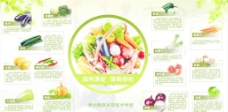 蔬菜宣传 营养答配图片
