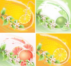 动感水果动感线条绿叶水果桔子背景图片