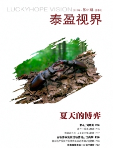 泰盈夏季刊 杂志封面设计图片
