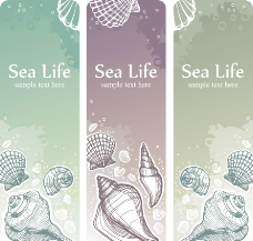 手绘海洋生物展板图片