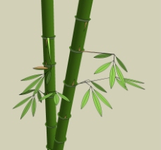 草图大师模型竹子图片