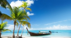 日系海洋沙滩椰子树游船图片