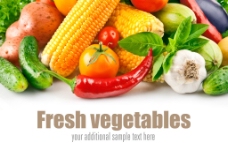 蔬菜无公害蔬菜图片