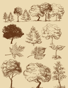手绘树木树叶图片