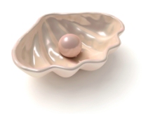 贝壳 珍珠图片
