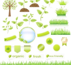 绿树禾苗绿草地绿色环保图片