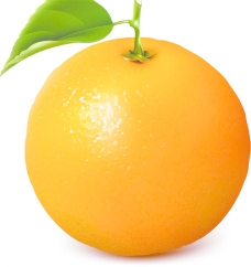桔子 橙子图片