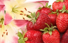 草莓 新鲜草莓图片
