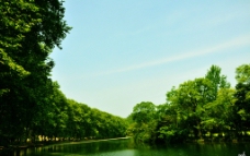花溪公园图片
