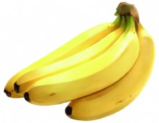插画 香蕉