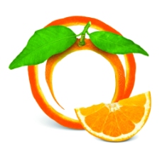 橙子 橙子皮图片