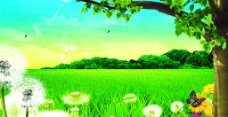 大自然绿色环保背景图片