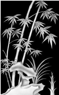 竹子 灰度图图片