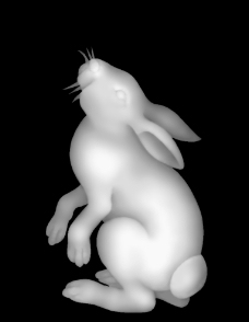 兔子 灰度图图片