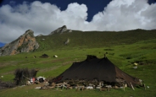 藏区牧民帐篷图片
