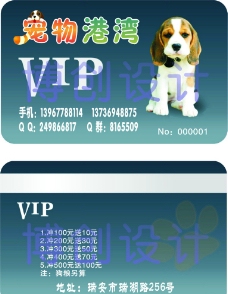 宠物狗宠物VIP卡图片
