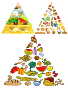 3款食物金字塔矢量素材